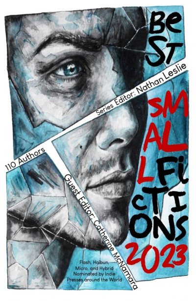 Best Small Fictions 2023 Flash, Haibun, Micro, & Hybrid 109 Pieces by 110 Authors including Marie Gethins Nominated by Indie Presses around the World